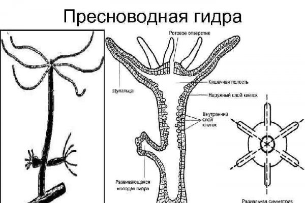 Адрес omg в тор